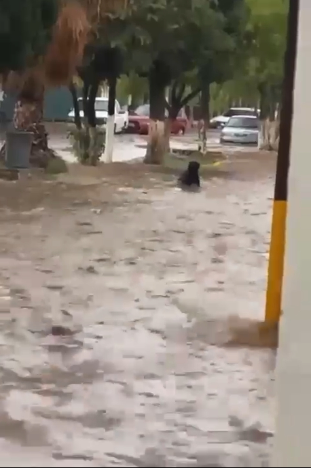Sufren por inundación en Ojocaliente