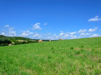 Trabajan 562 zacatecanos en los campos agrícolas de Canadá