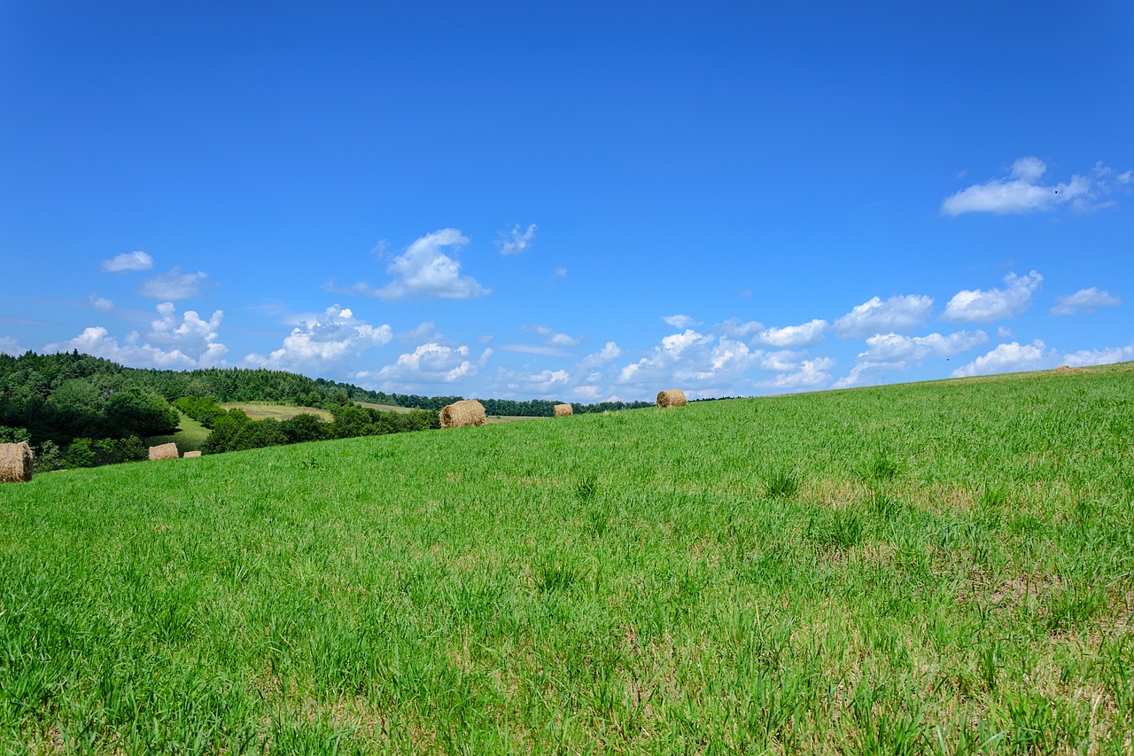 Trabajan 562 zacatecanos en los campos agrícolas de Canadá