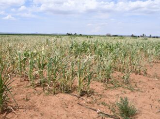 Vislumbra Sader devastación en el campo zacatecano