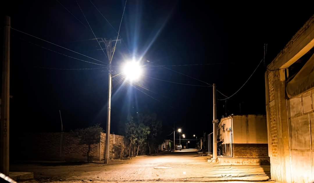 Avanza el programa Pinos Iluminado