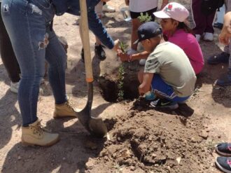 Mantienen trabajos de reforestación 