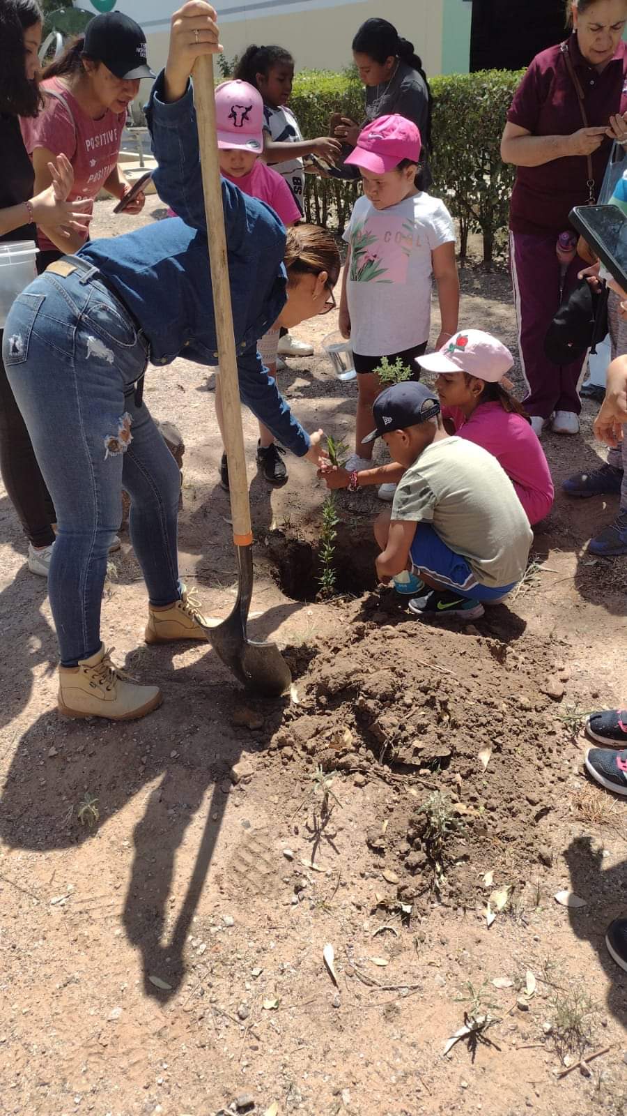 Mantienen trabajos de reforestación 