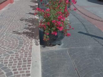 Dan mantenimiento a áreas verdes de Juan Aldama