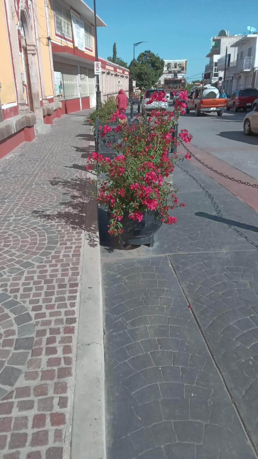 Dan mantenimiento a áreas verdes de Juan Aldama