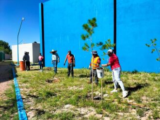 Plantan 60 arbolitos en Juan Aldama 