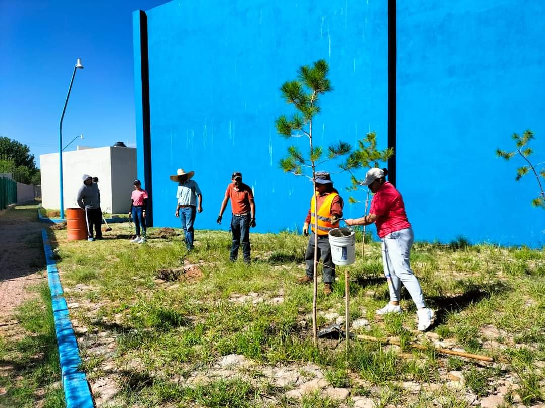 Plantan 60 arbolitos en Juan Aldama 