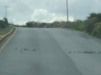 Asesinan a 2 en La Bufa