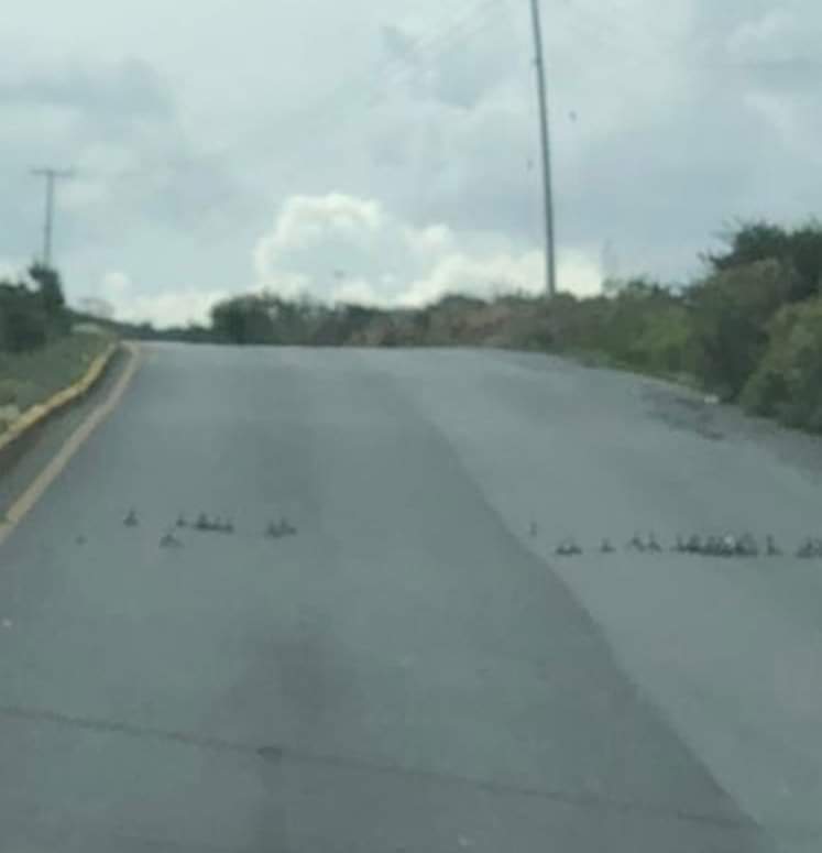 Asesinan a 2 en La Bufa