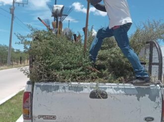 Sigue la limpieza y mantenimiento de bulevares y camellones 