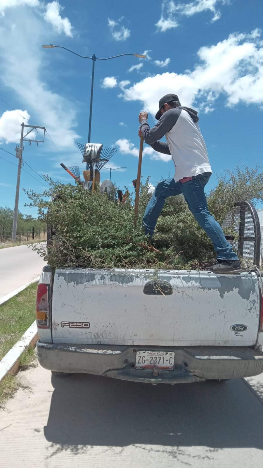 Sigue la limpieza y mantenimiento de bulevares y camellones 