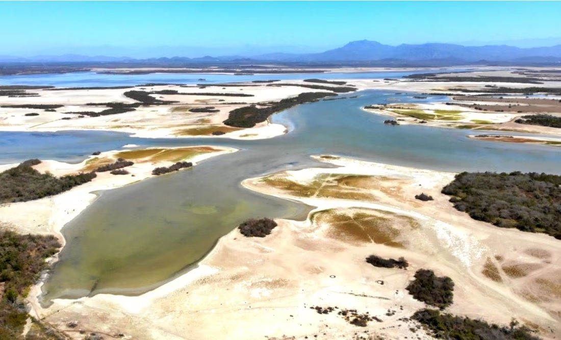 Declaran Área Natural Protegida casi 2 mil 500 hectáreas en Sinaloa