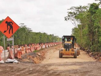 Análisis revela deforestación en 6 mil hectáreas de selva por obra del Tren Maya