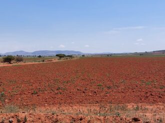 Se evaporó el tiempo de bonanza