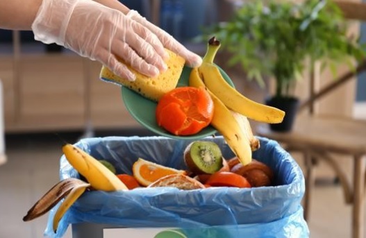 Desperdicio de alimentos, agudiza el cambio climático