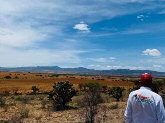 En Sombrerete 17 mil familias padecen por la sequía
