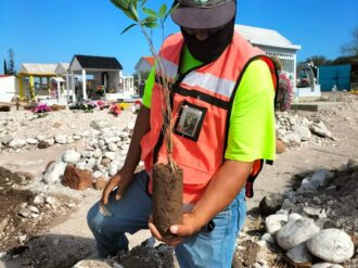 Reforestan el panteón 