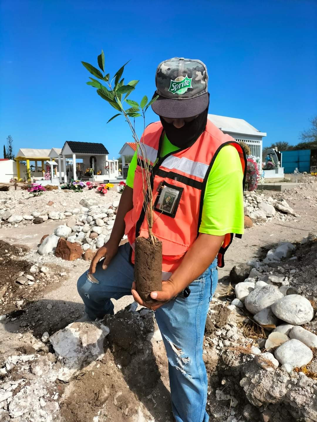 Reforestan el panteón 