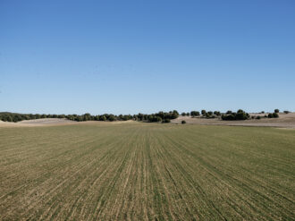 Trabaja Gobierno del Estado en recuperar predios