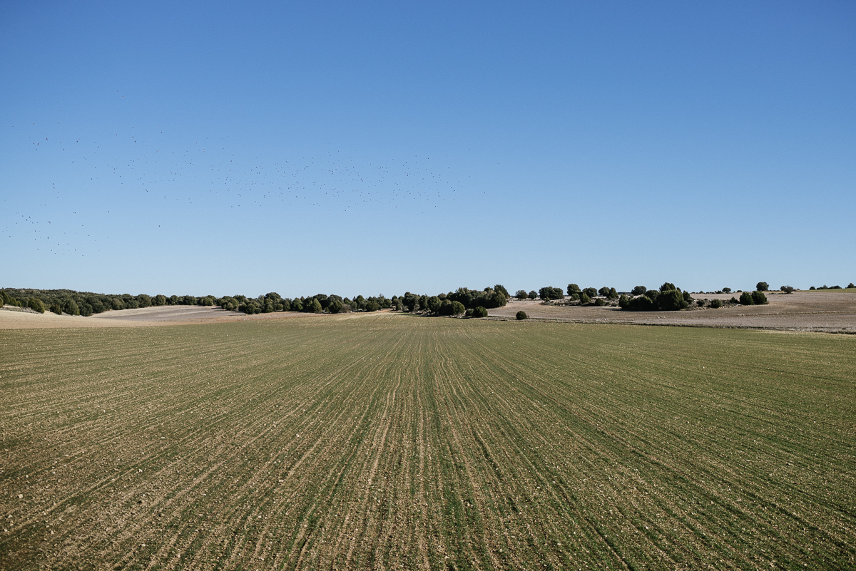 Trabaja Gobierno del Estado en recuperar predios