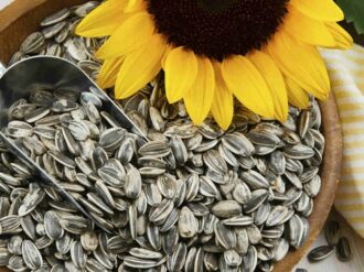 Semillas de girasol, cómplices para una piel tersa 