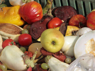 Alimentos descompuestos, causa de intoxicación en estudiantes 