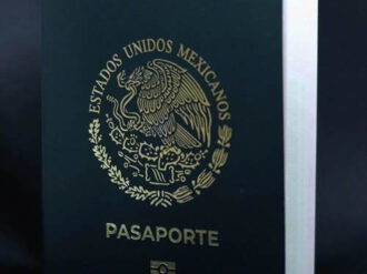 Estafan en la expedición de pasaporte con página falsa