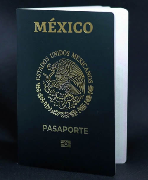 Estafan en la expedición de pasaporte con página falsa