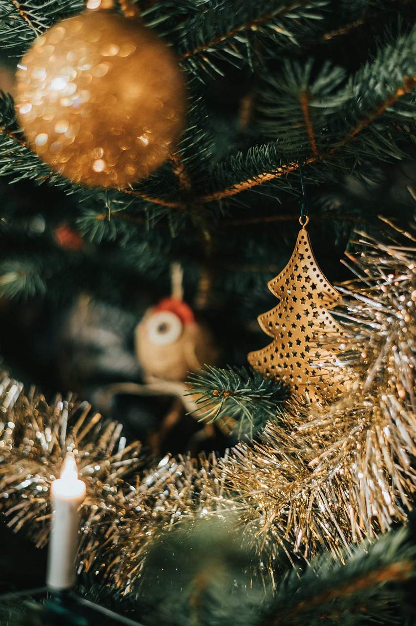 Este domingo, gran encendido navideño 