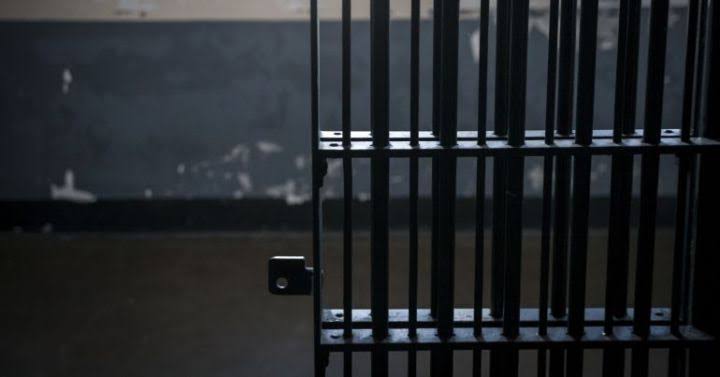 Operará en marzo El torito