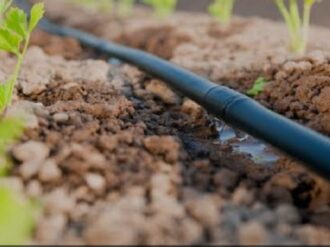 Aplicarán tecnología árabe en el campo zacatecano