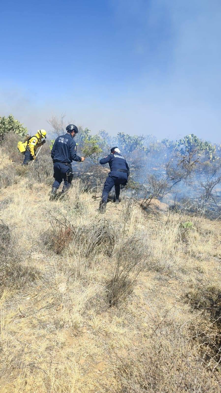 Controlan incendio forestal en Río Grande