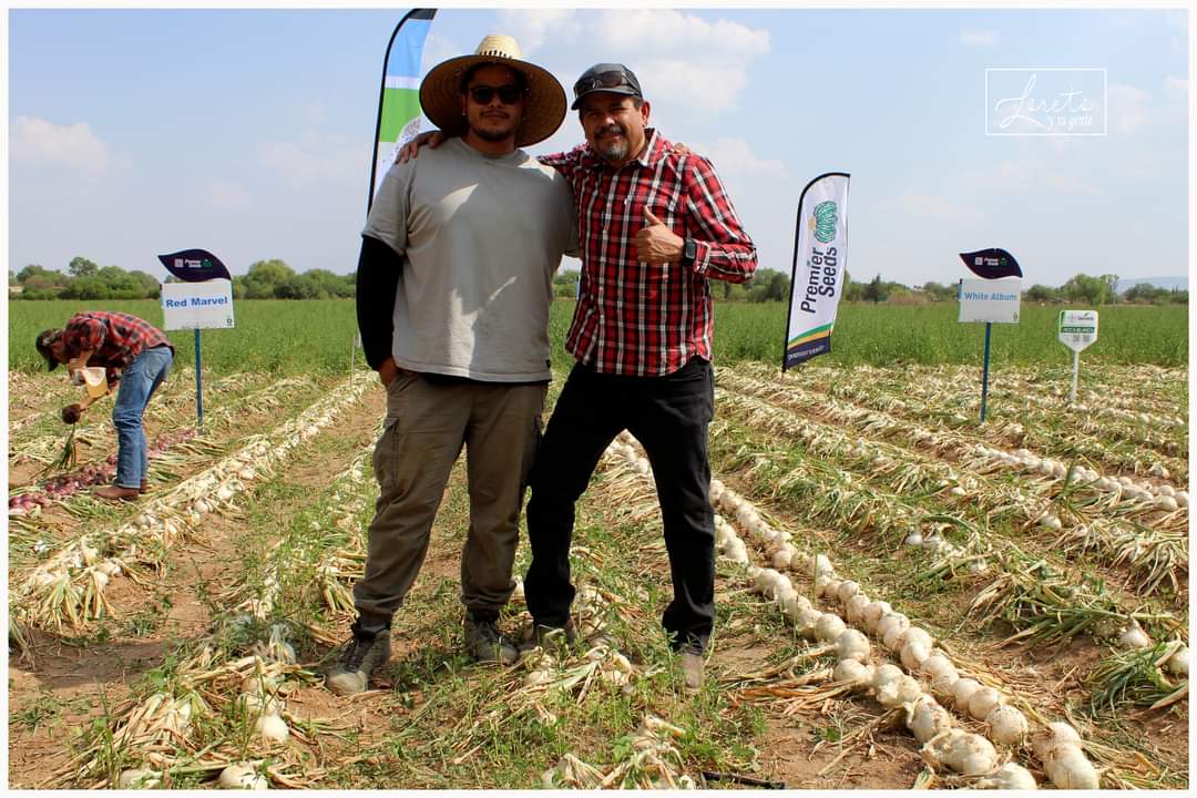 Realizan demostración de variedades de cebollas