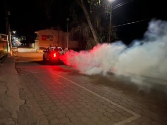 Detectan primer caso de dengue autóctono en la entidad