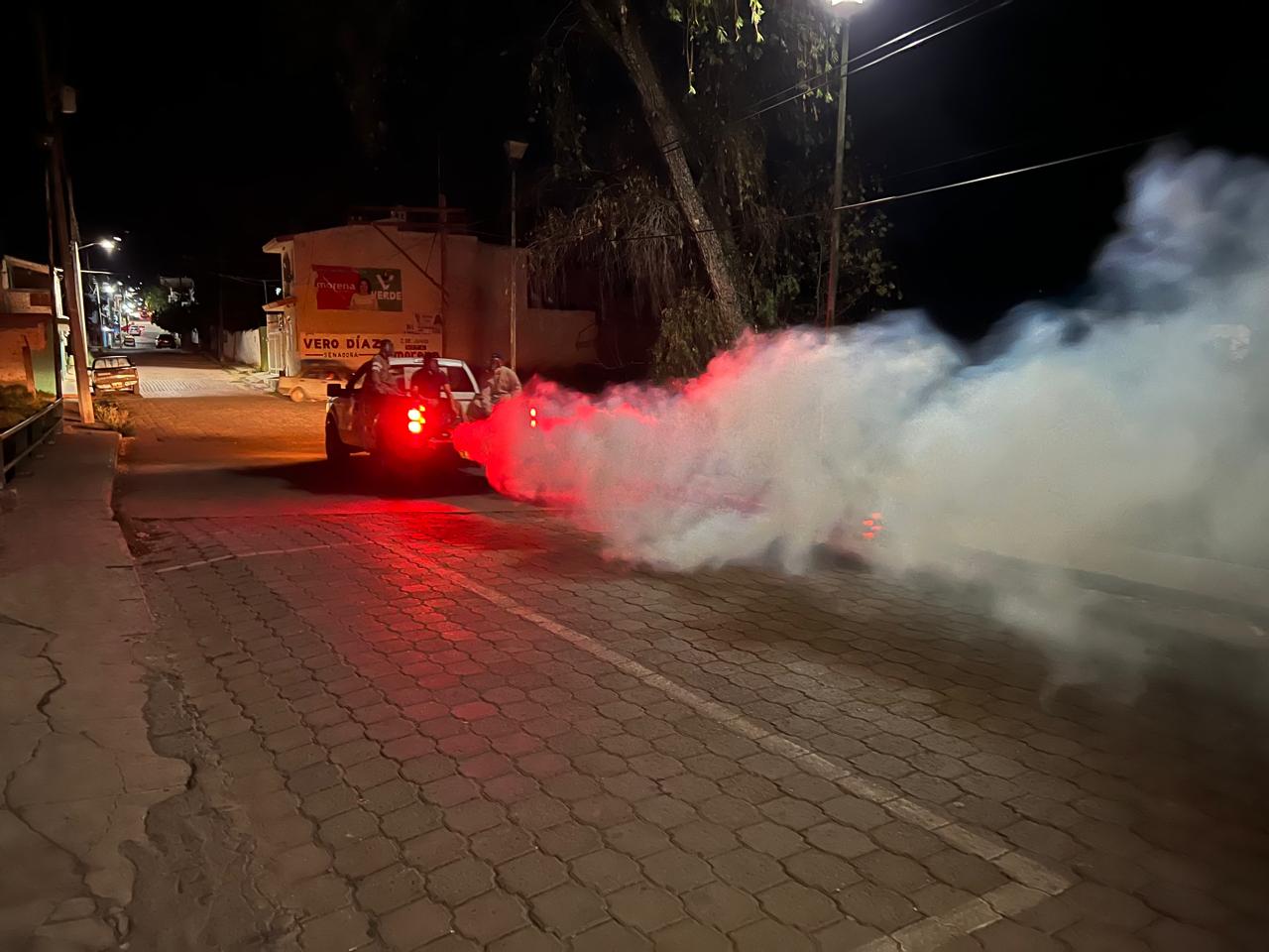 Detectan primer caso de dengue autóctono en la entidad