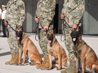 Rinden homenaje a los héroes de cuatro patas: Eden, Enry y Eska, jubilados del servicio activo de la Semar