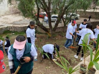 Limpian y reforestan la Díaz Ordaz