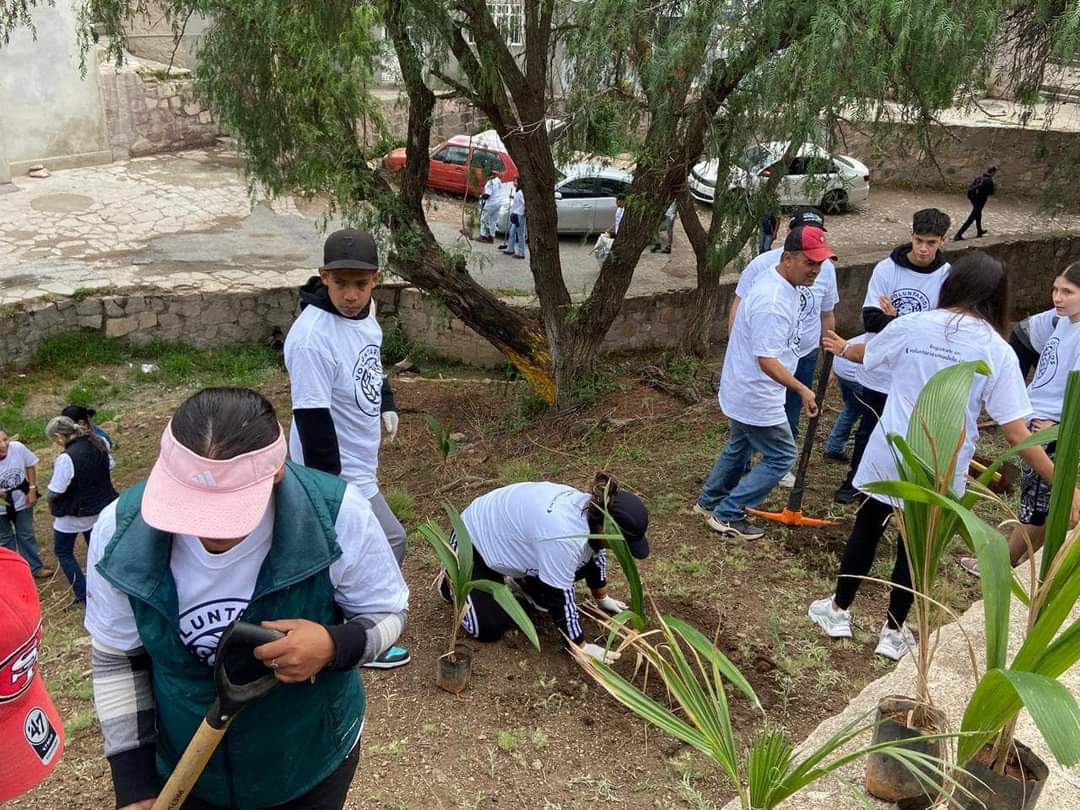 Limpian y reforestan la Díaz Ordaz