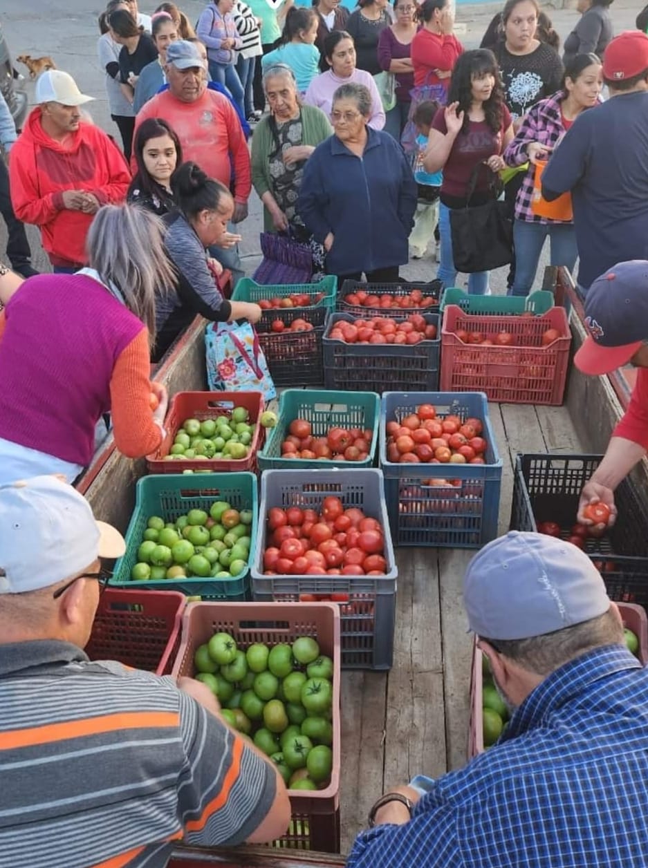 Apoyan en Chalchihuites la economía familiar con entrega de jitomate