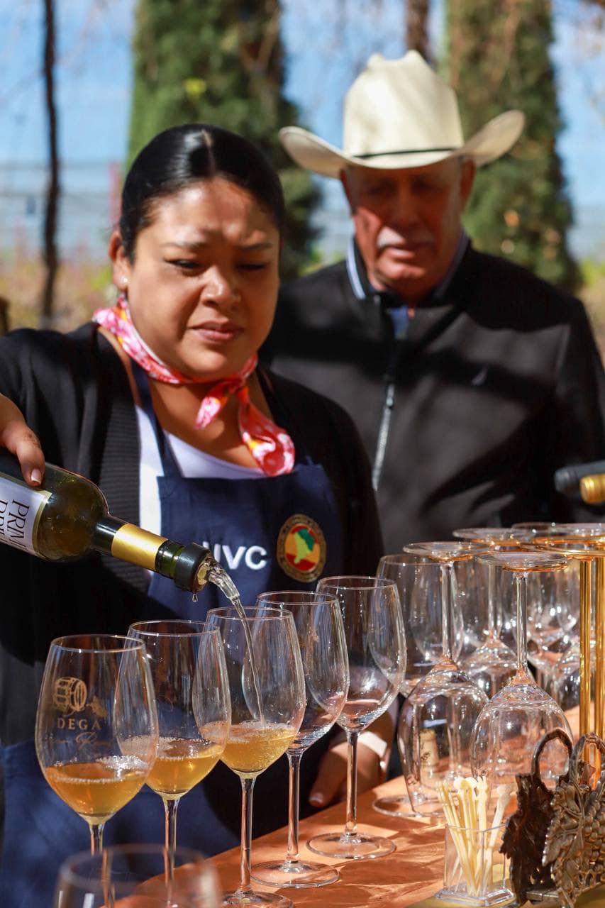 Busca Fresnillo catapultar industria vinícola como destino turístico