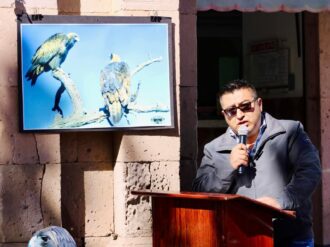 Celebran en Monte Escobedo la majestuosidad del aguila real