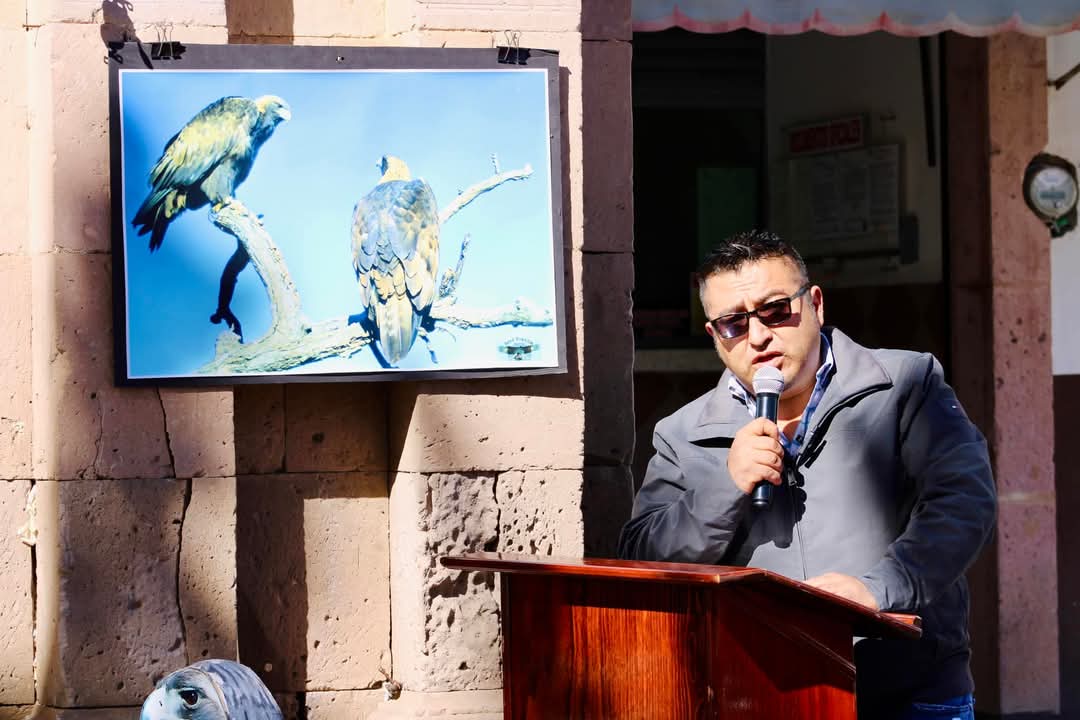 Celebran en Monte Escobedo la majestuosidad del aguila real