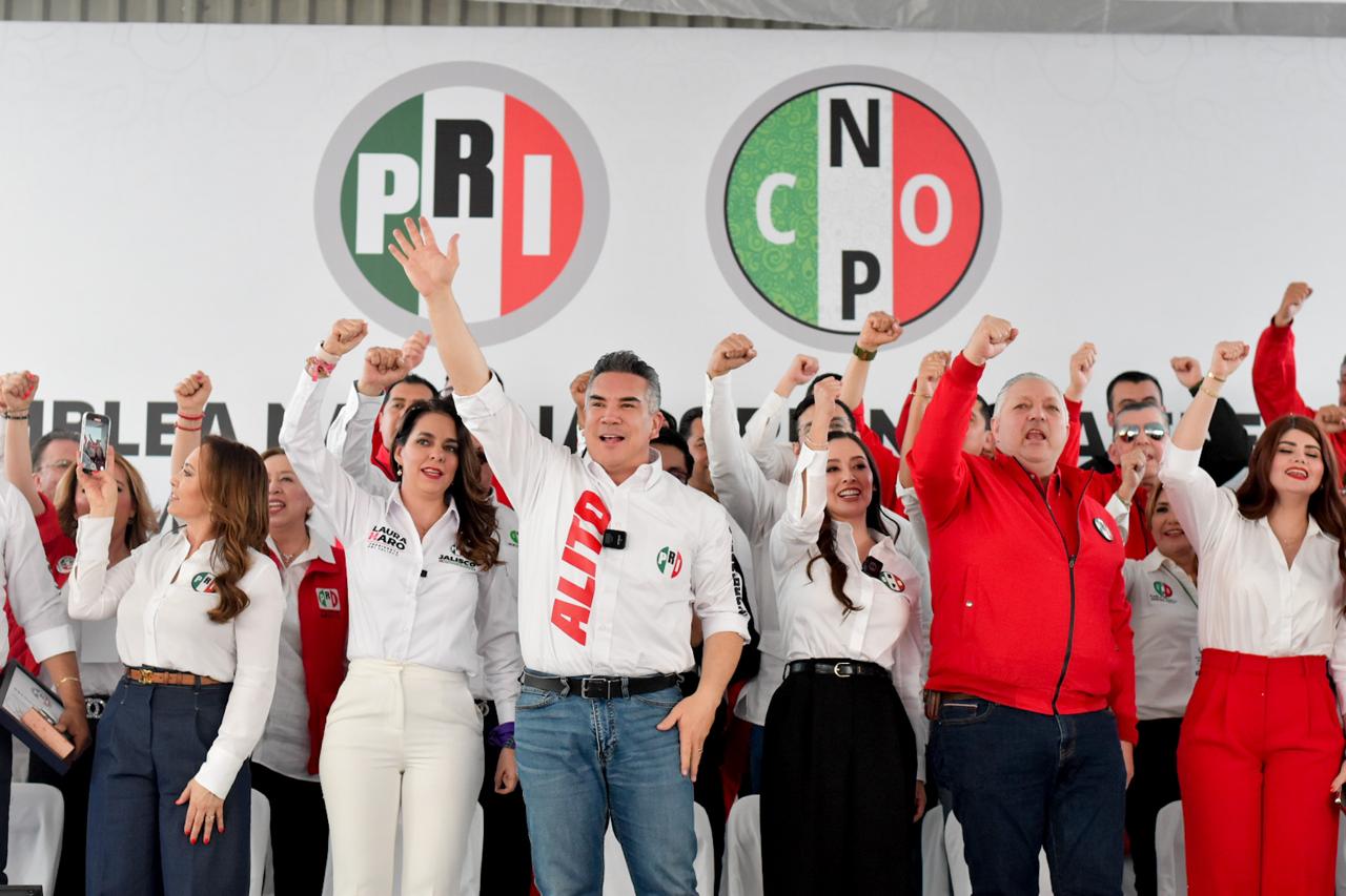 Fuensanta Guerrero, dirigente nacional la CNOP