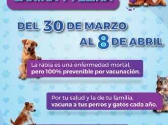 Anuncian jornada de vacunación antirrábica en Sain Alto