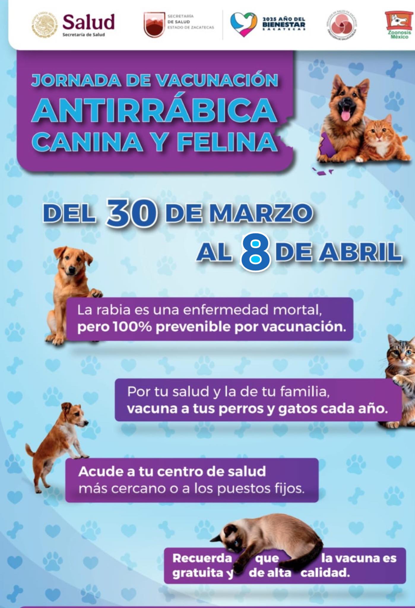 Anuncian jornada de vacunación antirrábica en Sain Alto