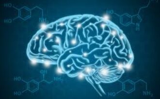 ¿Son efectivas las desintoxicaciones para aumentar la dopamina?