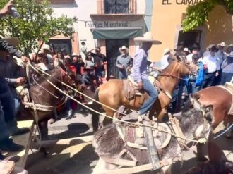 Busca Jerez a responsables de crueldad animal