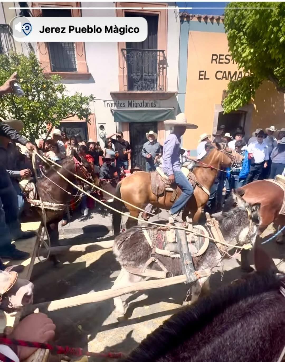 Busca Jerez a responsables de crueldad animal