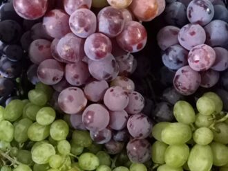 Se pierden 35% de los cultivos de vid en Fresnillo