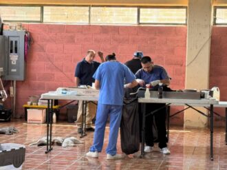 Exitosa jornada de esterilización canina y felina en Chalchihuites 